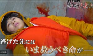 逃亡医F 森七菜