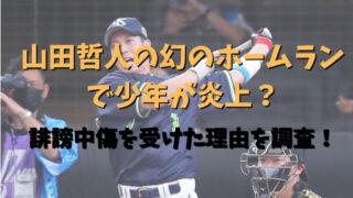 山田哲人の幻のホームランで少年が炎上？記事のアイキャッチ画像