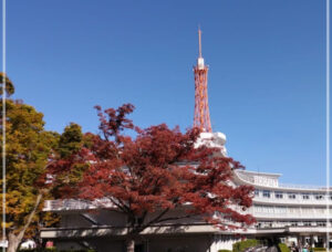 中学 高校 学歴 東海大学 大学中退